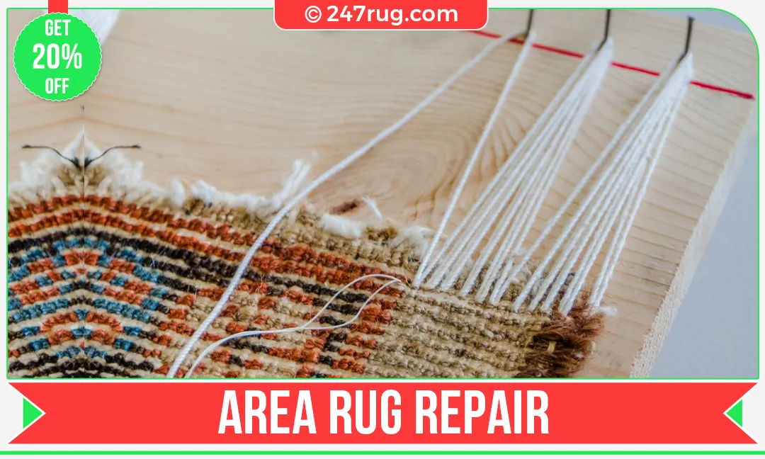 carpet cleaners in Nassau, carpet cleaning in Nassau, carpet cleaning Nassau, carpet cleaners in Nassau,  commercial carpet cleaning, commercial carpet cleaning in v,carpet cleaning in Nassau,  Nassau rug cleaners, rug cleaning services in Nassau, same day carpet cleaning, same day rug cleaning