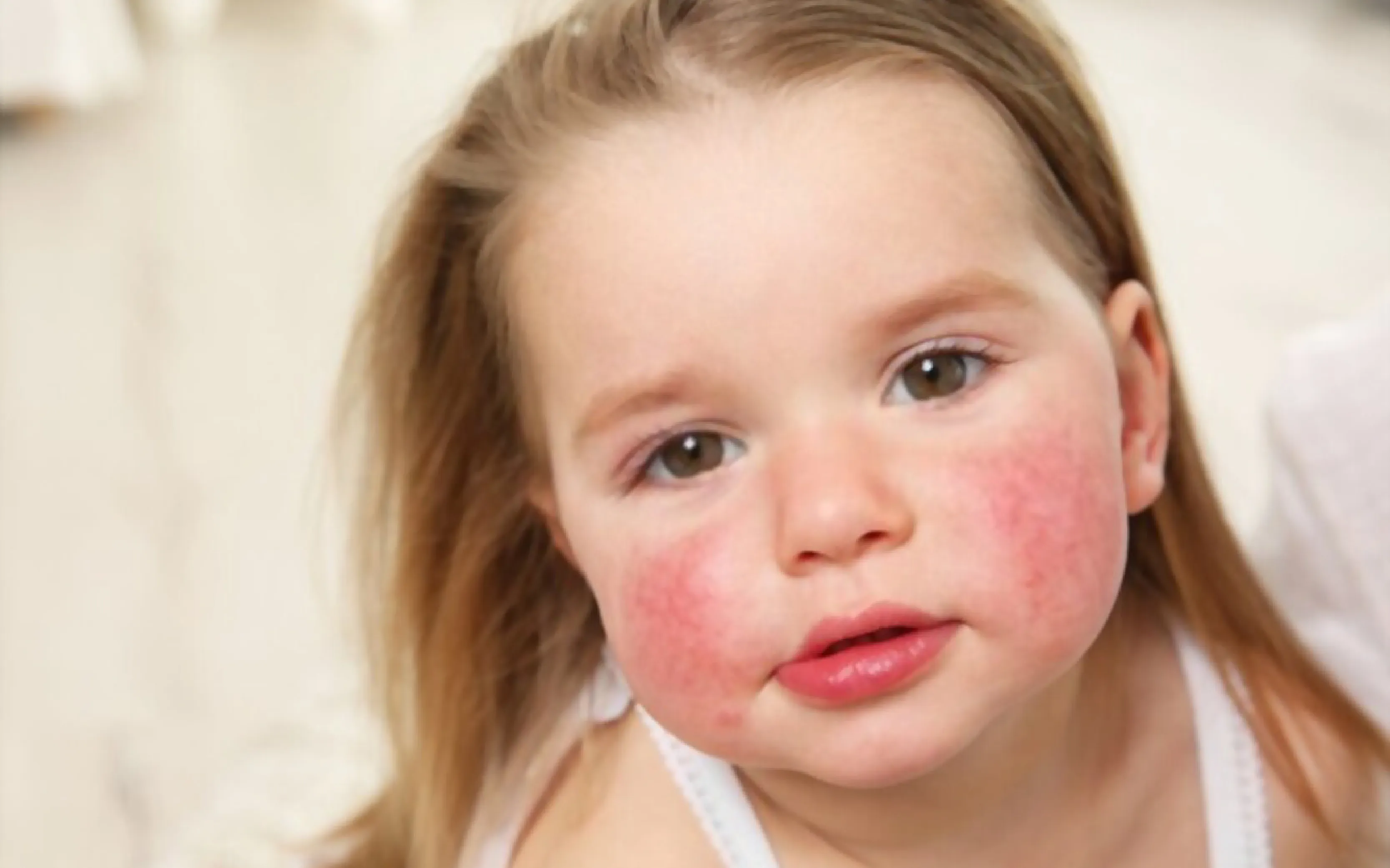 carpet cleaners in Nassau, carpet cleaning in Nassau, carpet cleaning Nassau, carpet cleaners in Nassau,  commercial carpet cleaning, commercial carpet cleaning in v,carpet cleaning in Nassau,  Nassau rug cleaners, rug cleaning services in Nassau, same day carpet cleaning, same day rug cleaning