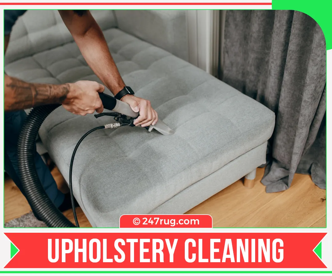 carpet cleaners in Nassau, carpet cleaning in Nassau, carpet cleaning Nassau, carpet cleaners in Nassau,  commercial carpet cleaning, commercial carpet cleaning in v,carpet cleaning in Nassau,  Nassau rug cleaners, rug cleaning services in Nassau, same day carpet cleaning, same day rug cleaning